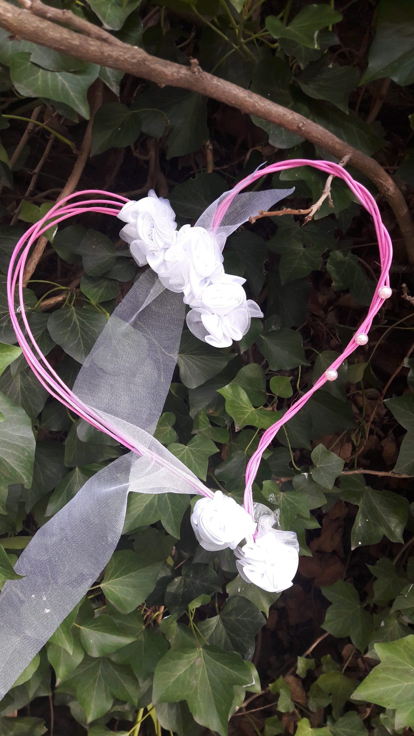 20180410_155321-e1524171572311-scaled