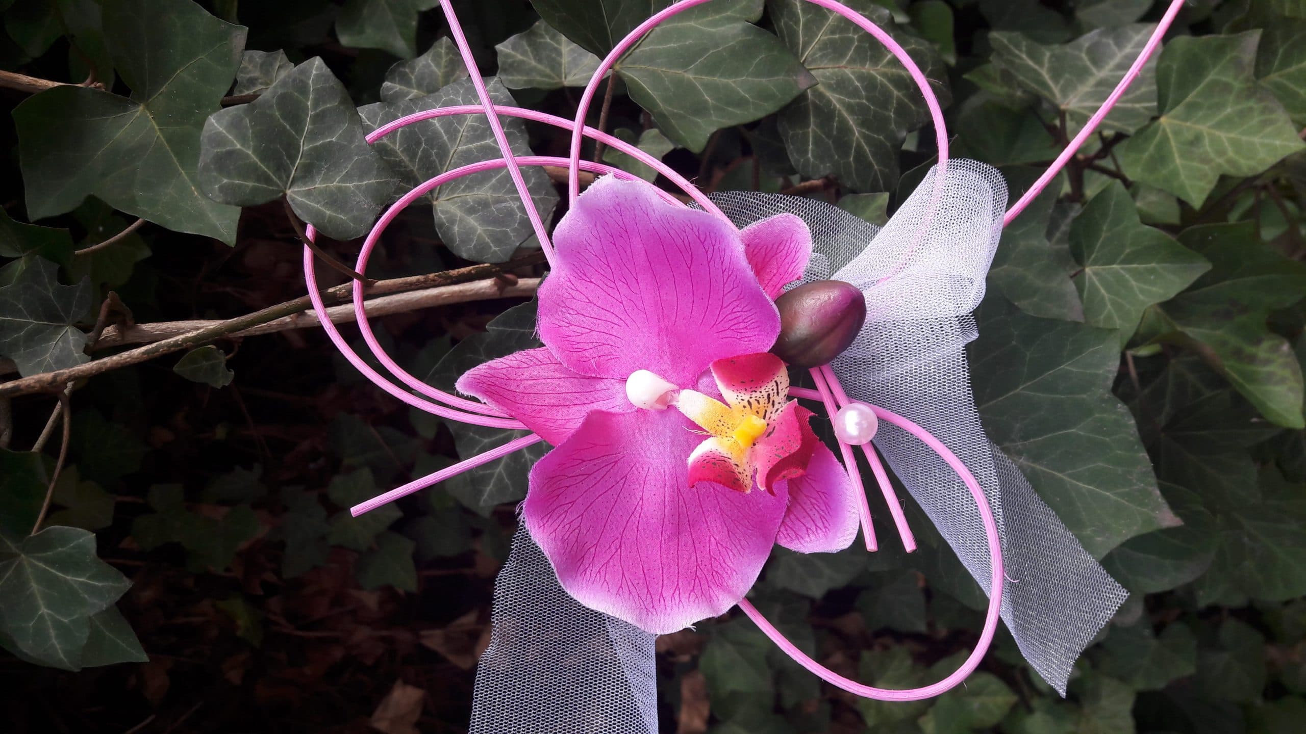 20180410_155530-e1524171462663-scaled