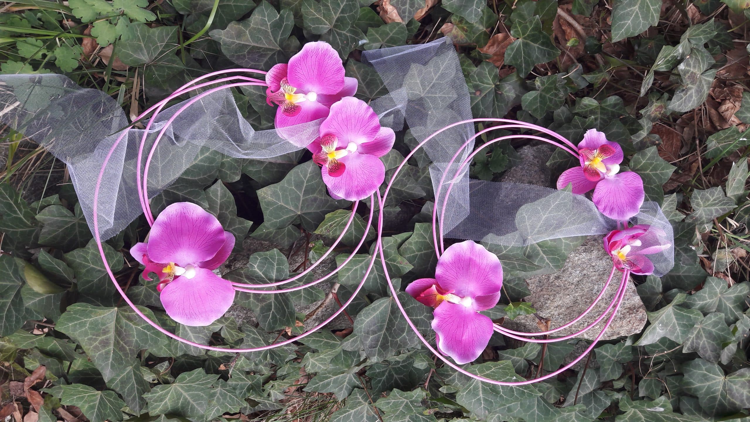 20180410_155917-scaled