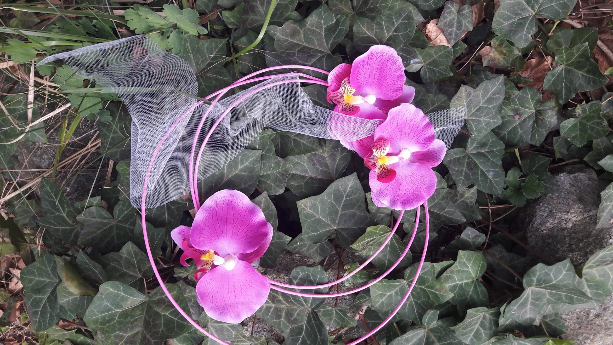 20180410_160015-scaled