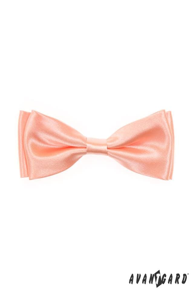 59549680_337570523629414_6235337463389224960_n