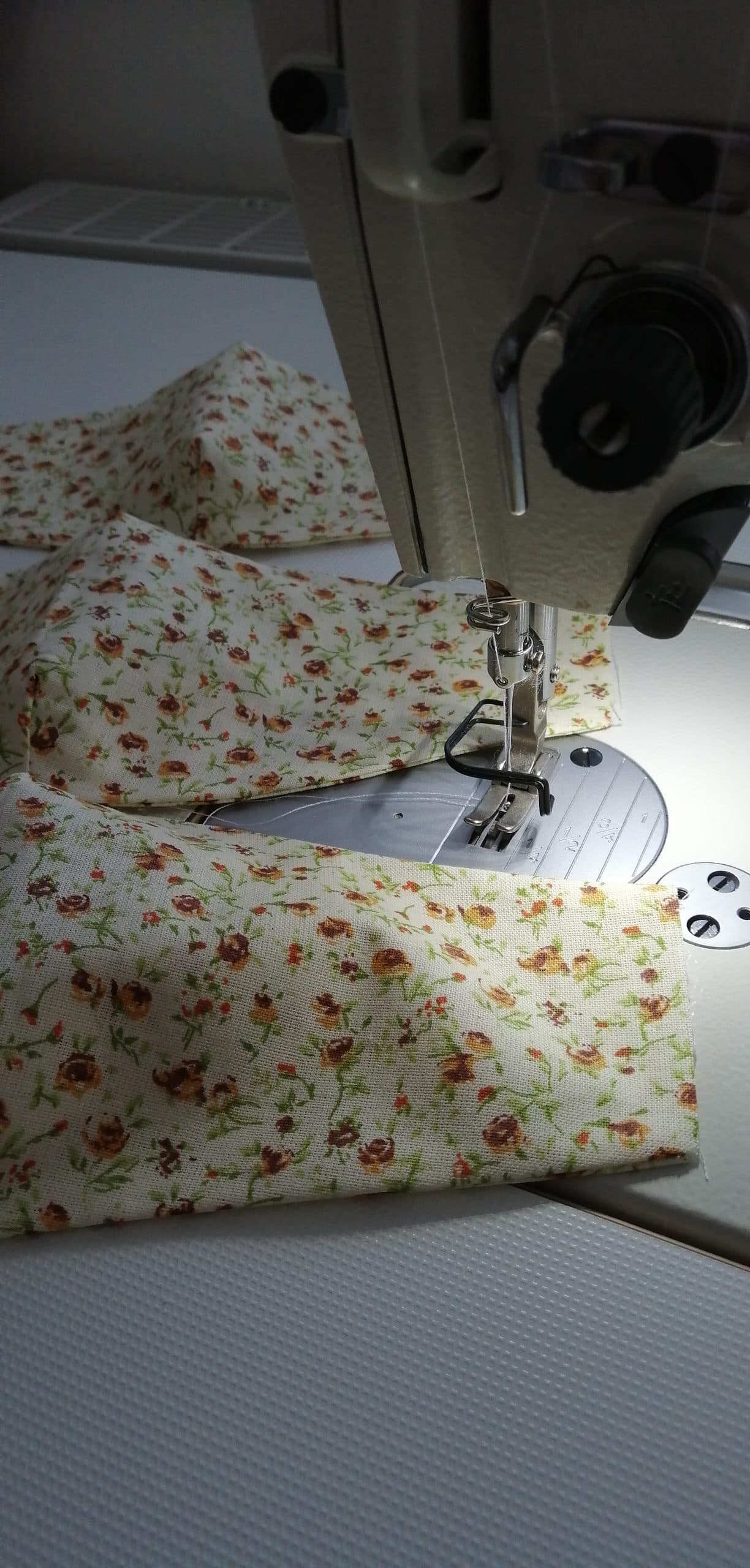 IMG_20200428_161140-scaled